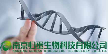 南京归蛋生物科技有限公司